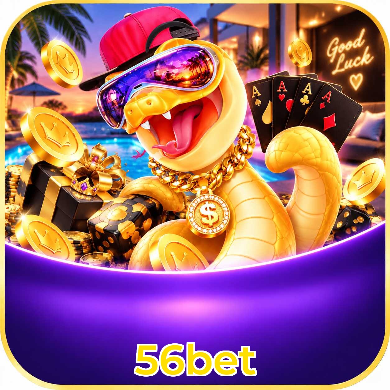 56bet Live Casino Overview